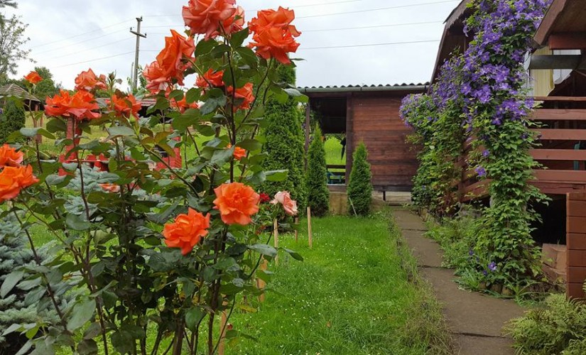 Pensiunea Moldovan - Sohaztur - Cazare Praid – Slide-2