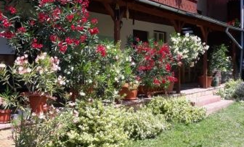 Casa de oaspeți Molnar – Slide-1