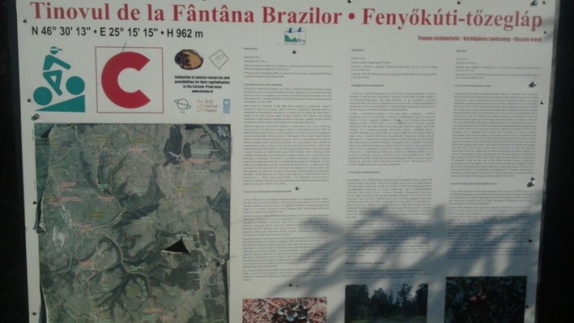 Tinovul de la Fântâna Brazilor – Cazare Praid