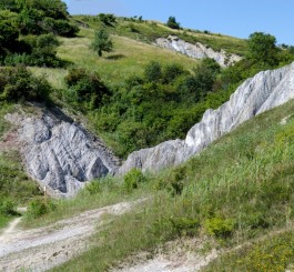 Rezervația Muntele de Sare