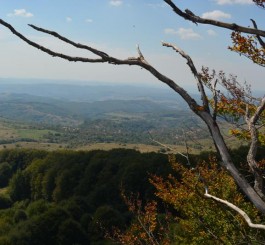 Piatra Siclodului